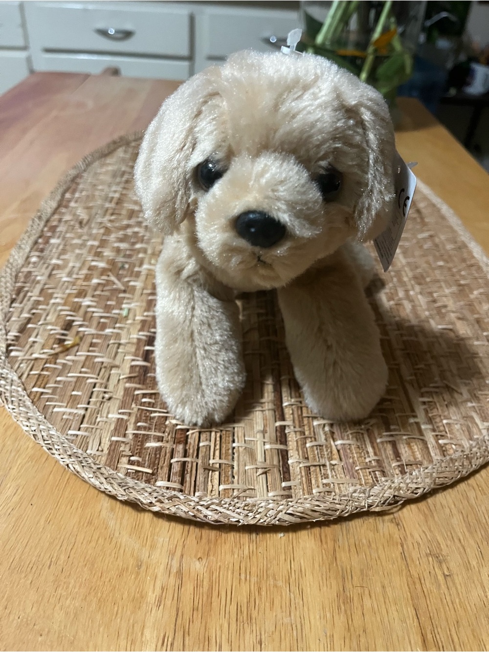 Plush Puppy Toy for Small Pets - Cream Plush